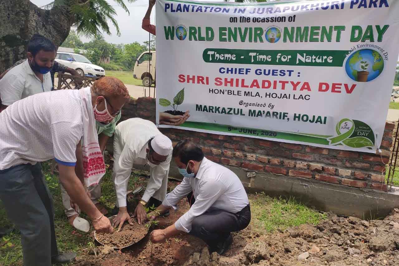 Read more about the article Plantation Drive by Markazul Ma’arif – 2020