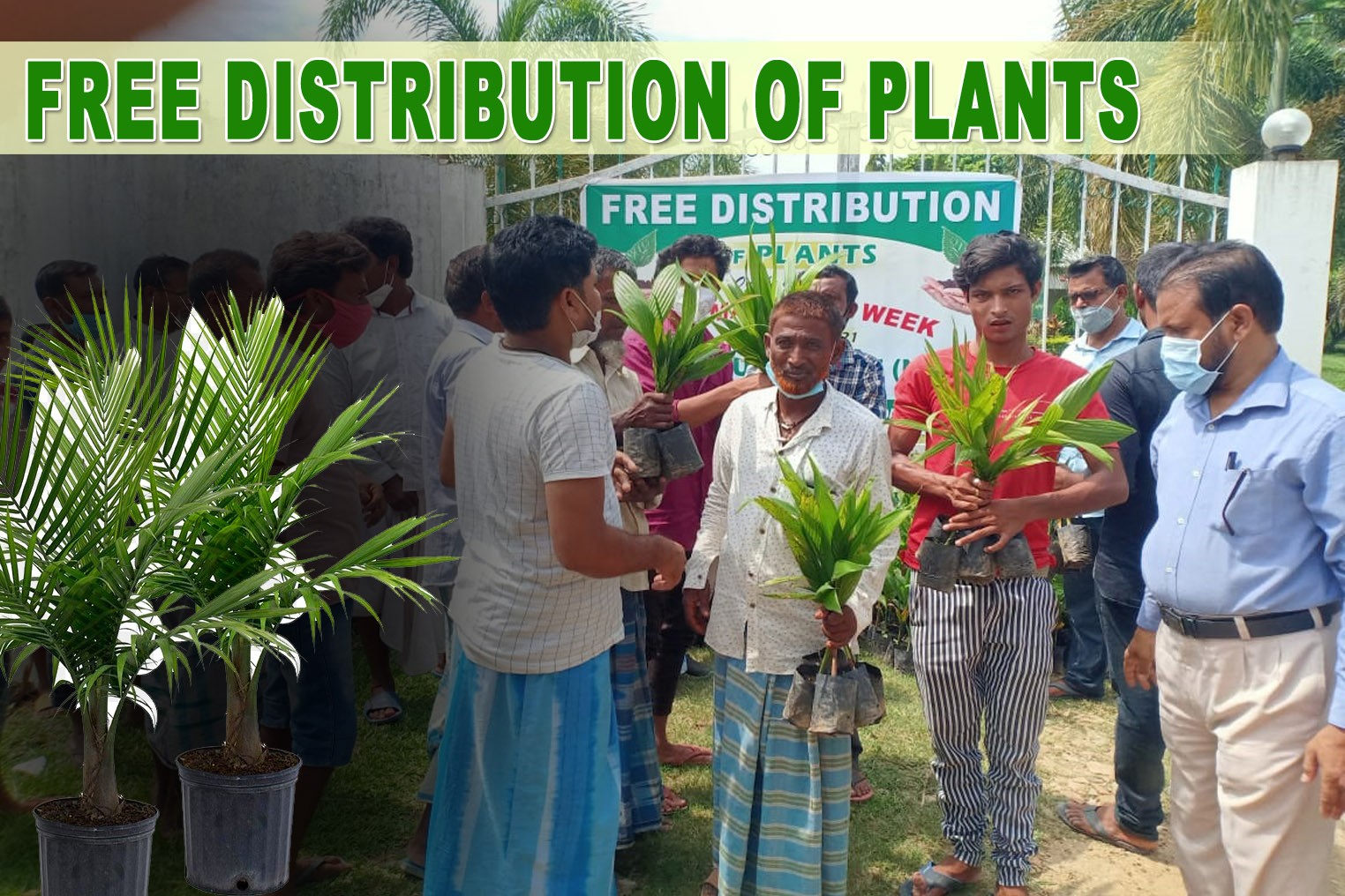 Read more about the article Free Distribution of Plants